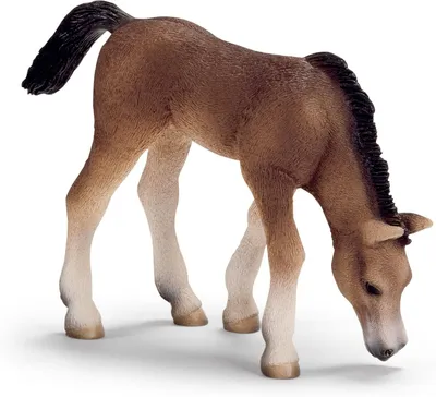 Image de Schleich 13652 Poulain arabe, broutant