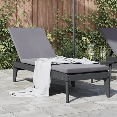 Produktbild von CLORIS Sonnenliege mit Auflage Anthrazit 186x60x29 cm PP, 9,03 kg