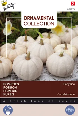 Produktbild von Buzzy Ornamental Kürbis Baby Boo Samen - Ca. 1 gr | Buzzy_024774