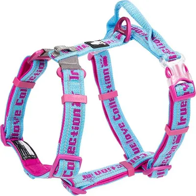 Produktbild von TrueLove Escape Geschirr mit Neopren unterlegt blau/pink, Größe: L