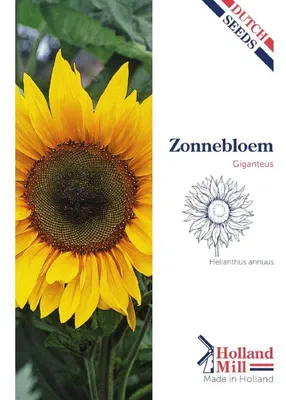 Imagen del producto de Holland Mill, *Helianthus annuus* (girasol), variedad "uniflorus giganteus" - 1 paquete de semillas