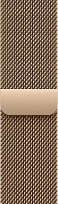 Produktbild von Apple MGHW4ZM/A Intelligentes tragbares Accessoire Band Gold Edelstahl