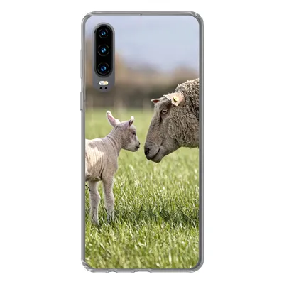Produktbild von MuchoWow® Handyhülle Schutzhülle Hülle für Huawei P30 Schafe - Gras - Lamm Silikon Softcase Handy Hülle - Kartenbesitzer