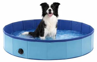 Produktbild von Flamingo Doggy Splatter Hundepool Blau 120x30 cm Blau 120x30 cm