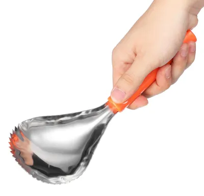 Edelstahl-Kürbis-Entkerner, Kernentferner, Obstlöffel, 25,5 cm