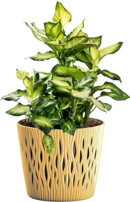 Produktbild von Blumentopf + Einsatz Pflanztopf Übertopf Pflanzkübel Sandy Rund Senfgel 12,8 cm