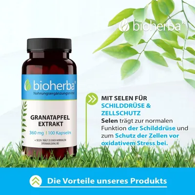 Produktbild von Granatapfel Extrakt 360 mg 100 Kapseln PZN 19641894