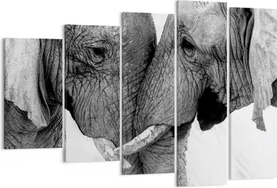 Produktbild von Bild auf Leinwand - Leinwandbild - 5 Teile - Elefanten Safari Bond - 150x100cm - Wand Bild - Wanddeko - Wandbilder - Leinwanddruck - Bilder - Wanddekoration - Leinwand bilder - EG150x100-4973