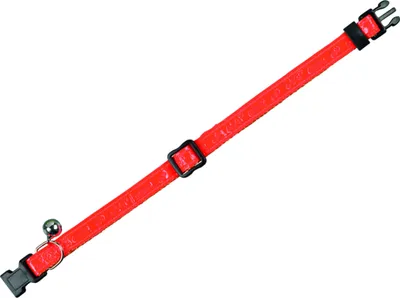Produktbild von Katzenhalsband Neon, neonorange
