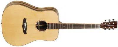 Produktbild von Tanglewood TWJD