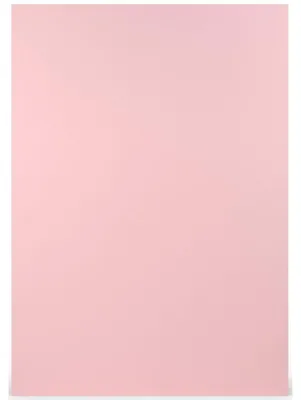 Image de Blatt A4 80G Coloretti 10Er Pack Pink