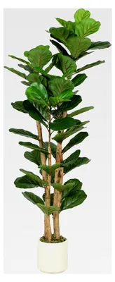 Produktbild von Künstlicher Geigenfeigenbaum 150 cm mit 71 Blättern, Massivholzstamm und Topf, Kunstpflanze für Wohnzimmer, Schlafzimmer, Büro und Garten