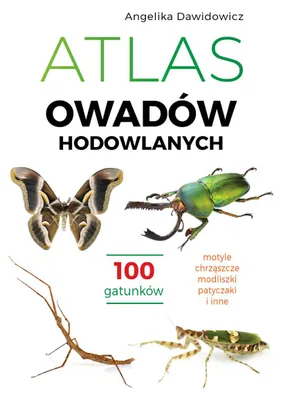 Zdjęcie produktu dla Atlas owadów hodowlanych. 100 gatunków
