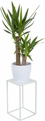 Produktbild von HowHomely Modern Pflanzenständer, Blumenhocker aus Metall Weiß 40 cm Höhe - Blumenständer für das Haus