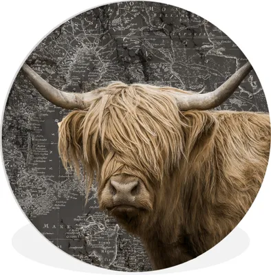 Produktbild von MuchoWow® Rundes Wandbild - Runde Bilder Schottischer Highlander - Weltkarte - Tiere Ø 90 cm Kreis Wanddekoration Kunststoff - Wandkreis - Wandschmuck - Wand-Kreis - Wohnzimmer - Bild - Runde - Wanddeko - Dibond - Kunstdrucke