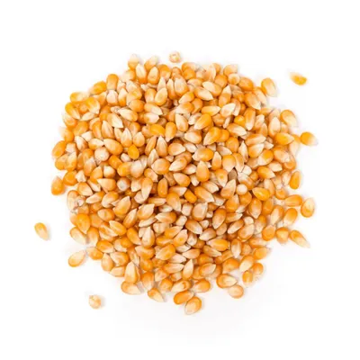 Produktbild von Popcornmais Körner 1 kg | Einfach zuzubereiten, vielseitig