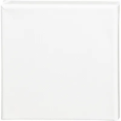 Immagine prodotto di tela 15 x 15 x 1,6 cm bianco
