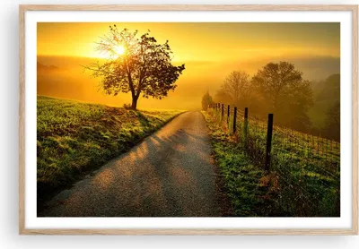 Produktbild von Gerahmtes Poster - Rahmen in heller Eiche - Feld Straße Baum - 91,5x61 cm - Wand Bild - Wanddeko - Wandbilder - Kunstposter - Wandposter - Bilderrahmen - Bilder - Kunstdruck - Wandbild P2NAA91x61-3851