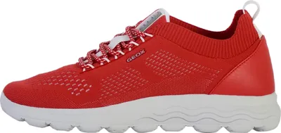 Image de Baskets Spherica