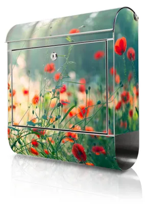 Produktbild von banjado Edelstahl Briefkasten mit Zeitungsfach mit Motiv Waldmohn großer Design Postkasten rostfrei, A4 Einwurf [BKGE2 12779]