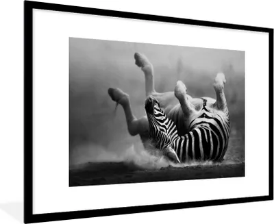 Produktbild von MuchoWow® Gerahmtes Poster Zebra - Tiere - Schwarz - Weiß 90x60 cm - Poster mit Schwarzem Bilderrahmen Wandposter Rahmen Foto Bilder - Wanddekoration - Fotos