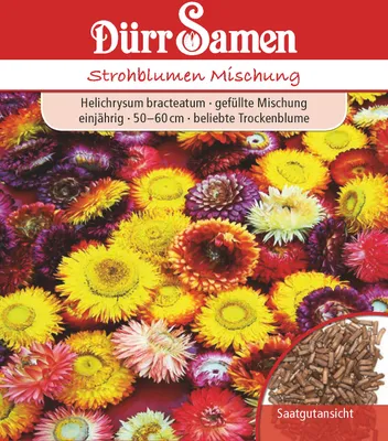 Produktbild von Strohblumen Mischung | Strohblumensamen von Dürr Samen