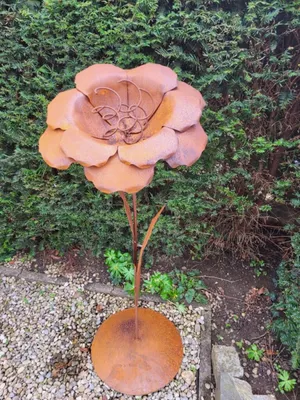 Immagine prodotto di Nobile fiore di ruggine Nadja su piatto