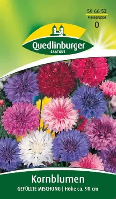Produktbild von Kornblume, Gefüllte Mischung