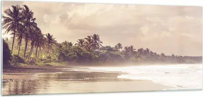 Produktbild von Bilder auf glas - Einteilig - Palmen Strand Wasser - 100x40cm - Glasbilder - Wandbilder - Bilder - zum Aufhängen bereit - Wanddekoration aus Glas - Glas Bilder - Wandbild auf Glas - GAB100x40-4917
