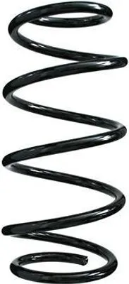 Image de Ressort de suspension SPIDAN Article : 55982