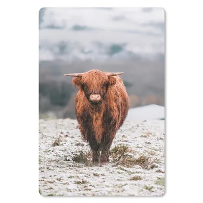 Produktbild von MuchoWow® Mauspad Mousepad Schottischer Highlander - Schnee - Berg 40x60 cm - Mousepads - Maus Mat - Pad - Mausunterlage - Schreibtisch Accesoire