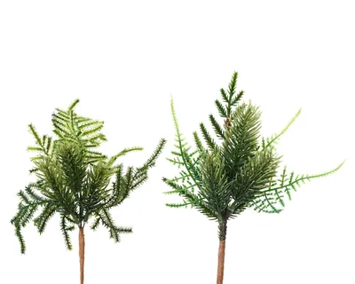 Produktbild von Künstliche Zweige 22cm 1 Stück sortiert Grün
