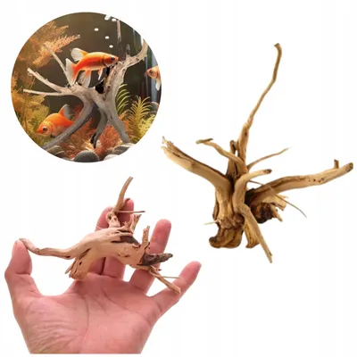 Zdjęcie produktu dla Dekoracja akwariowa – korzeń, Red Moor XS 15 cm, naturalne drewno, ciemnobrązowe
