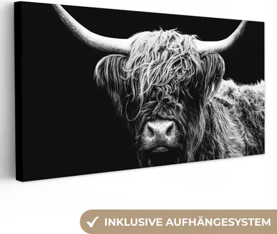 Obrázek produktu pro OneMillionCanvasses® - Obrazy na plátně - Skotský horal - Kráva - Černá - Bílá - Zvířata, nástěnné umění, nástěnné dekorace obrazy obývací pokoj, 80x40cm