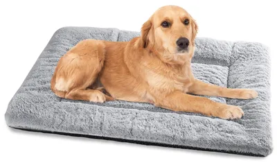 Produktbild von Mittelgroßes Hundebett, waschbar, 90 x 60 cm, weiches Kissen mit rutschfester Unterseite, grau