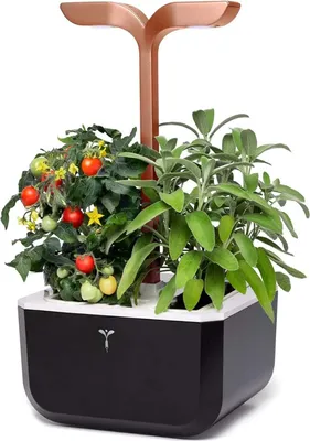 Immagine prodotto di Véritable Exky SMART Giardino da interno, rame