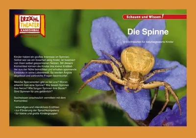 Produktbild von Kamishibai: Die Spinne