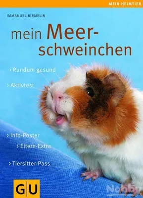 Zdjęcie produktu dla Neugierige Meerschweinchen