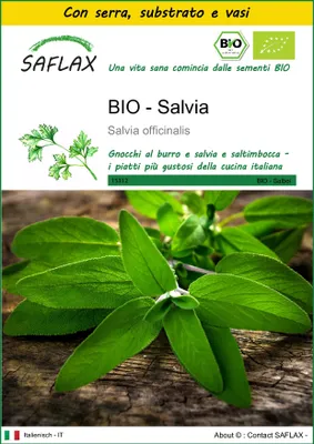 Immagine prodotto di SAFLAX Insieme di coltivazione -- Salvia - 60 semi - Salvia
