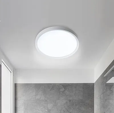 Zdjęcie produktu dla NAIZY LED, lampa sufitowa, płaska, okrągła, lampa do łazienki, lampy sufitowe LED, lampa do pomieszczeń wilgotnych, lampa do łazienki, lampa do kuchni, lampa do piwnicy, idealna do łazienek