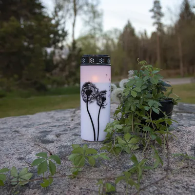 LED Grablicht/Grabkerze 'Pusteblume' - warmweiße LED - H: 21cm, D: 7cm - Timer - weiß/schwarz