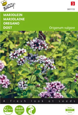Produktbild von Oregano Dost | Oreganosamen von Buzzy Seeds [MHD 07/2026]