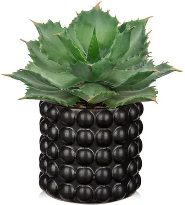 Obrázek produktu pro Umělecká dekorace – rostlina v černém keramickém květináči, 18 cm