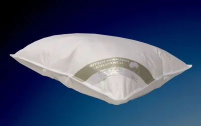 Produktbild von Betten Hofmann Kuschelweiches Daunenkissen Kopfkissen Kissen 50x75 cm 100% neue Daunen 330 g