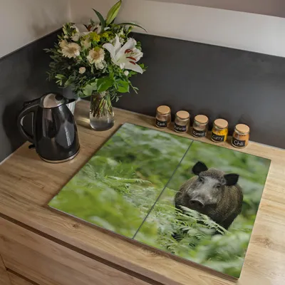 Produktbild von banjado Herdabdeckplatte zweiteilig je 30x52cm groß mit Gummi Abstandshalter, ESG Sicherheitsglas mit Motiv Wildschwein [HAP2 10495]