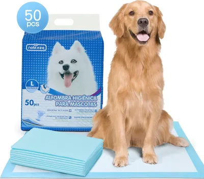 A golden retriever dog sits next to a box of pet training pads and a stack of the pads.