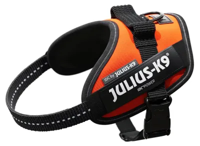 Image de Julius K-9 Idc® Power Mini harnais pour chien Jaune Mini-Mini Jaune Mini-Mini