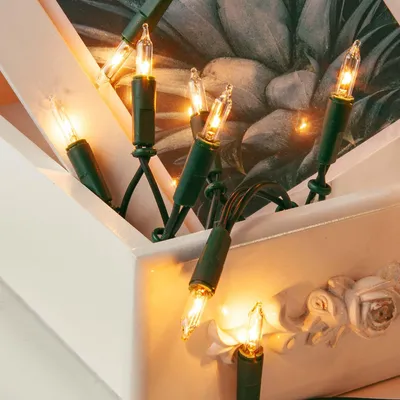 Lichterkette 10 Lampen warmweiß 1,35 m grünes Kabel mit Stecker