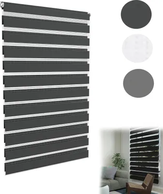 A product image showing a zebra blind with color swatches and a lifestyle shot of the blind in a room.