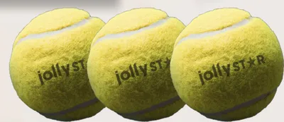 Lot de 12 balles de tennis pour chien. Animalerie Morin France